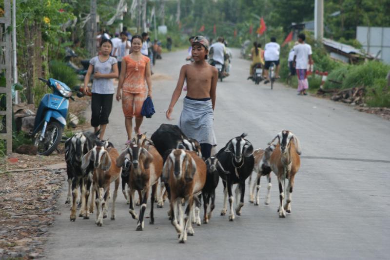 Phnom Penh 056.jpg